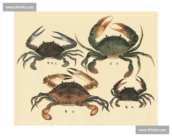 从 “蟹斗” 到共赢：大闸蟹与梭子蟹的鲜味新生态