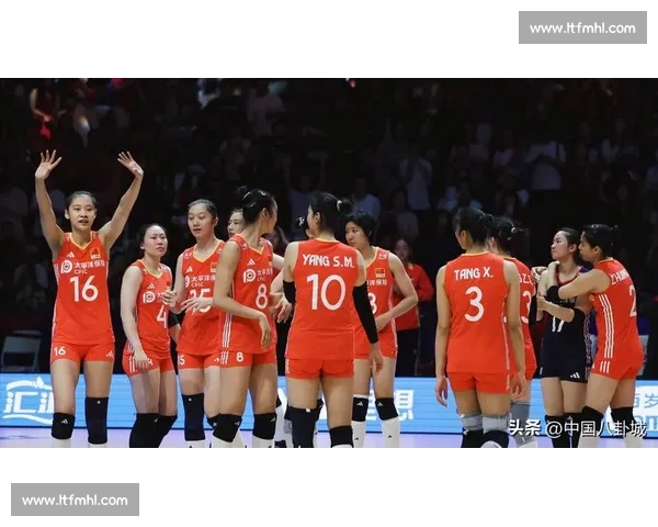 排球的浪漫与残酷,专访讲述一段刻骨铭心的球员情缘 排球的浪漫与残酷,专访讲述一段刻骨铭心的球员情缘